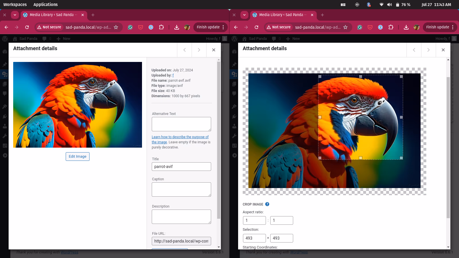 AVIF Support in WordPress 6.5