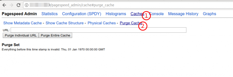 Example browser clearing PageSpeed cache