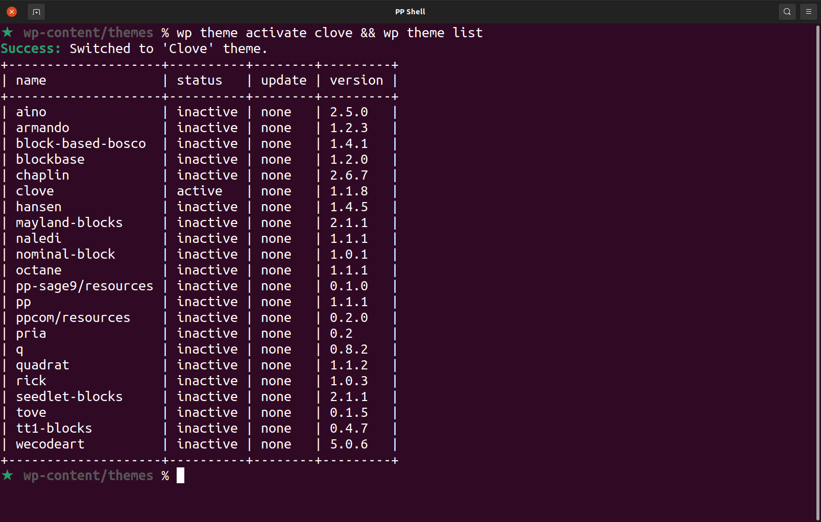 A screenshot of activating and listing the themes using WPCLI.