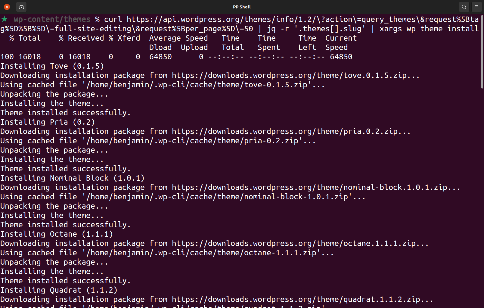 A screenshot of the script used to download and install all block-based themes.