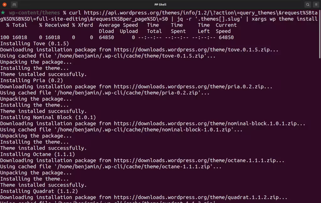 Installing Block-based themes with WPCLI